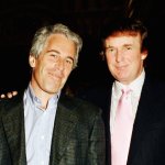Trump and Jeffrey Epstein, partners for 15 years meme
