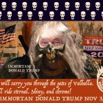 trump-re-election-campaign-vote-immortan-donald-trump-nov-3-2020