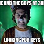 What does the fox say? | ME AND THE BOYS AT 3AM; LOOKING FOR KEYS | image tagged in what does the fox say | made w/ Imgflip meme maker