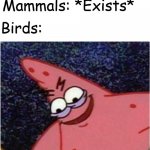 Patrick's is planning something sinister | Mammals: *Exists*; Birds: | image tagged in patrick's is planning something sinister | made w/ Imgflip meme maker