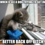 cats with guns | WHEN U SEE A DOG TRYING TO GET IN " BETTER BACK OFF BITCH" | image tagged in cats with guns | made w/ Imgflip meme maker