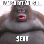 the stinkyest monkey | I AM SO FAT AND SO.... SEXY | image tagged in uh oh stinky | made w/ Imgflip meme maker