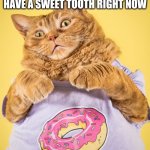 CHOCOLATE!!!!!!!!!!!!!!!!!!!!!!!!!!!!!!!!!!!!!!!! | QUICK! I THINK I MAY HAVE A SWEET TOOTH RIGHT NOW | image tagged in chonk cat donut | made w/ Imgflip meme maker