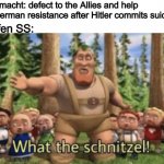 What the schnitzel | Wehrmacht: defect to the Allies and help the German resistance after Hitler commits suicide; Waffen SS: | image tagged in what the schnitzel | made w/ Imgflip meme maker
