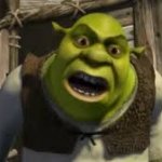 Shrek yelling meme