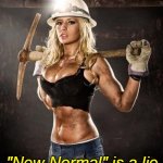 Enough is enough. | GET BACK TO WORK; #ReopenAmerica; "New Normal" is a lie | image tagged in hot blonde coal miner,work | made w/ Imgflip meme maker