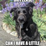 Make a Wish | OH PLEASE OH PLEASE; CAN I HAVE A LITTLE BROTHER OR SISTER? | image tagged in make a wish | made w/ Imgflip meme maker