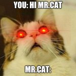 MR.cat is mad
