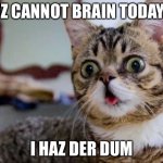 Derpy cat | IZ CANNOT BRAIN TODAY; I HAZ DER DUM | image tagged in derpy cat | made w/ Imgflip meme maker