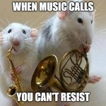 musical animals | WHEN MUSIC CALLS; YOU CAN'T RESIST | image tagged in musical animals | made w/ Imgflip meme maker