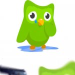 Sad Duolingo Bird | ITS TIME TO PURGE!!! | image tagged in sad duolingo bird | made w/ Imgflip meme maker