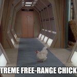 Extreme Free-Range Chicken | EXTREME FREE-RANGE CHICKEN | image tagged in free-range chicken,star trek the next generation | made w/ Imgflip meme maker