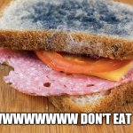 Ew don't eat | EWWWWWWWWW DON'T EAT THIS | image tagged in moldy ham sandwich | made w/ Imgflip meme maker