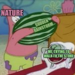 Patrick watermelon (Fixed Text Boxes) | NATURE; SUDDEN RAINSTORM; ME, TRYING TO WALK TO THE STORE | image tagged in patrick watermelon fixed text boxes | made w/ Imgflip meme maker