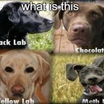 oh my | what is this | image tagged in meth | made w/ Imgflip meme maker