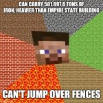 Minecraft Steve | CAN CARRY 501.897,6 TONS OF IRON, HEAVIER THAN EMPIRE STATE BUILDING CAN'T JUMP OVER FENCES | image tagged in minecraft steve | made w/ Imgflip meme maker