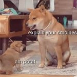 DOges GIF Template