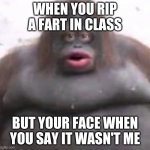 Le Monke | WHEN YOU RIP A FART IN CLASS; BUT YOUR FACE WHEN YOU SAY IT WASN'T ME | image tagged in le monke | made w/ Imgflip meme maker