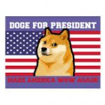 doge for president