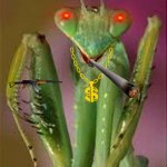 Praying Mantis Close Up | THIS IS THE SCARIEST THING; EVER!!!!! | image tagged in praying mantis close up | made w/ Imgflip meme maker