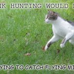 Warrior cat meme | I THINK HUNTING WOULD BE FUN; TRYING TO CATCH FLYING MICE | image tagged in warrior cat meme | made w/ Imgflip meme maker