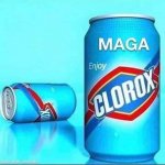 Enjoy MAGA Clorox