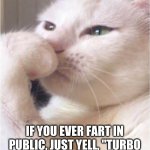Turbo Power Fart | DEEP THOUGHTS BY SMUDGE; IF YOU EVER FART IN PUBLIC, JUST YELL, "TURBO POWER!" AND WALK FASTER. | image tagged in deep thoughts white cat,smudge the cat,smudge,deep thoughts | made w/ Imgflip meme maker
