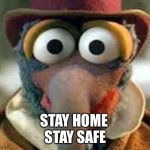 Luvismemes | STAY HOME 
STAY SAFE | image tagged in gonzo | made w/ Imgflip meme maker
