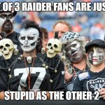 Raider Life | 1 OUT OF 3 RAIDER FANS ARE JUST AS; STUPID AS THE OTHER 2 | image tagged in raiders | made w/ Imgflip meme maker