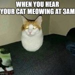 Look at what I just found | WHEN YOU HEAR YOUR CAT MEOWING AT 3AM | image tagged in hover cat | made w/ Imgflip meme maker