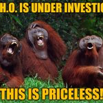 laughing orangutans | THE W.H.O. IS UNDER INVESTIGATION; THIS IS PRICELESS! | image tagged in laughing orangutans | made w/ Imgflip meme maker