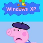 serious xp | What have You done? | image tagged in what have you done,windows xp | made w/ Imgflip meme maker