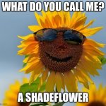 Cool sunflower | WHAT DO YOU CALL ME? A SHADEFLOWER | image tagged in cool sunflower | made w/ Imgflip meme maker