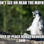 Zen lemur | I DON’T SEE OR HEAR THE MAYHEM; A RIVER OF PEACE RUNS THROUGH ME
OHM | image tagged in zen lemur | made w/ Imgflip meme maker