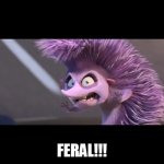 FERAL!!! | FERAL!!! | image tagged in ferdinand,una,hedgehog,feral | made w/ Imgflip meme maker