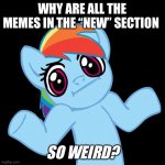 Seriously what the heck | WHY ARE ALL THE MEMES IN THE “NEW” SECTION SO WEIRD? | image tagged in memes,pony shrugs | made w/ Imgflip meme maker