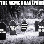 Graveyard | THE MEME GRAVEYARD; WOMAN SCREAMING AT CAT; TRICYCLE FROG; I LOVE BOOKS; DOG OF WISDOM | image tagged in graveyard | made w/ Imgflip meme maker