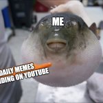 Puffer fish eating a carrot | ME; DAILY MEMES TRENDING ON YOUTUBE | image tagged in puffer fish eating a carrot | made w/ Imgflip meme maker