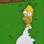Homero escondiéndose atrás de un arbusto GIF Template