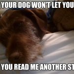 Bedtime | WHEN YOUR DOG WON'T LET YOU SLEEP; "CAN YOU READ ME ANOTHER STORY" | image tagged in yup | made w/ Imgflip meme maker