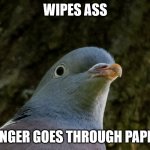 PTSD Pigeon | WIPES ASS; FINGER GOES THROUGH PAPER | image tagged in ptsd pigeon | made w/ Imgflip meme maker