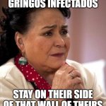 mexican too concerned mom ay mijito | I HOPE THOSE GRINGOS INFECTADOS; STAY ON THEIR SIDE OF THAT WALL OF THEIRS | image tagged in mexican too concerned mom ay mijito | made w/ Imgflip meme maker