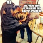 I'm here buddy | MY FRIEND WHO IS GROUNDED AND CAN'T PLAY WITH ME; ME | image tagged in dog comforting human | made w/ Imgflip meme maker