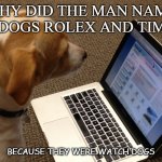 Bad Dad Joke May 21 2020 | WHY DID THE MAN NAME HIS DOGS ROLEX AND TIMEX? BECAUSE THEY WERE WATCH DOGS | image tagged in watchdog | made w/ Imgflip meme maker