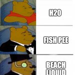 Aquatic Liquid | WATER; H20; FISH PEE; BEACH LIQUID; OCEAN SAUCE | image tagged in winnie the pooh 5x template,memes,funny,frontpage,water,baby jesus for mod | made w/ Imgflip meme maker