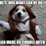 dog's are the best | SIR HE'S  DOG WHAT CAN HE DO TO US; HE CAN MAKE US CUDDLE WITH HIM | image tagged in star wars corgi | made w/ Imgflip meme maker
