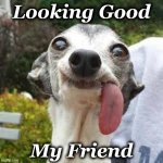 good | Looking Good; My Friend | image tagged in good | made w/ Imgflip meme maker