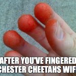 Hot Cheetos cheater  | AFTER YOU'VE FINGERED CHESTER CHEETAHS WIFE | image tagged in hot cheetos cheater | made w/ Imgflip meme maker