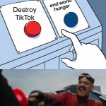 Destroy TikTok or world hunger? meme