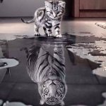 Reflection